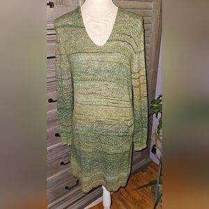 Max Studio Olive and Sage Hooded Knit Dress Size Med Good Condition